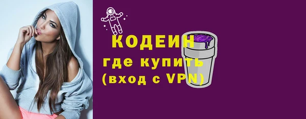 амф Вяземский
