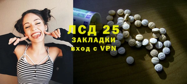 амф Вяземский