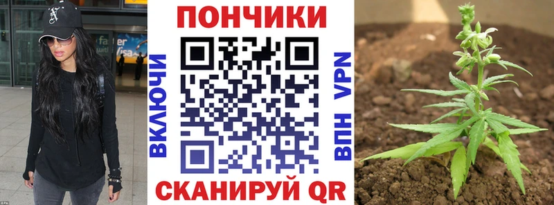 хочу   Гусев  Бошки марихуана OG Kush 